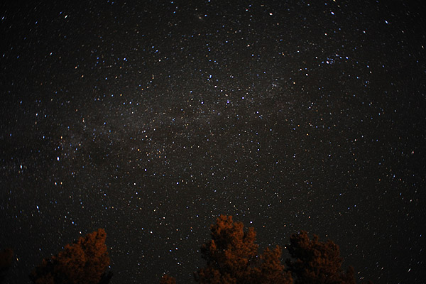 Description: Description: Description: http://www.synergymedia.com/newStuff/IMG_1545milkyWay-600.jpg